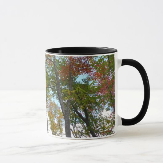 紅葉を見上げる I 色とりどりの紅葉 マグカップ (右)