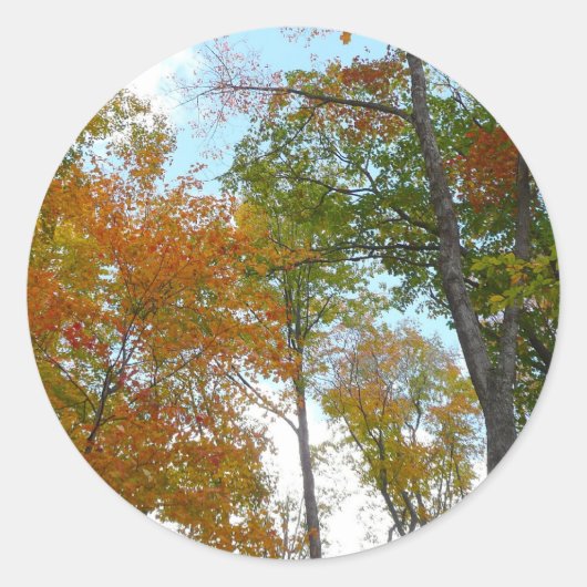 紅葉を見上げる I 色とりどりの紅葉 ラウンドシール (正面)