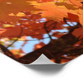 紅葉アートプリント オレンジ色の落ち葉の木 ポスター (角)