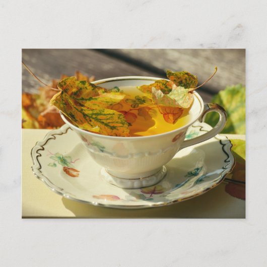 紅葉イングリッシュティーオータムコテージはがき ポストカード (正面)