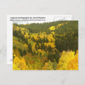 紅葉インコロラド，《植物》アスペン金ゴールド ポストカード (正面/裏面)