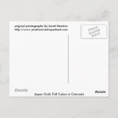 紅葉インコロラド，《植物》アスペン金ゴールド ポストカード (裏面)