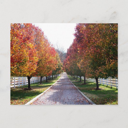 紅葉インバージニアポストカードグレン・アレンVA ポストカード (正面)