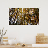 紅葉インモーニングメリーランド自然 ポスター (キッチン)