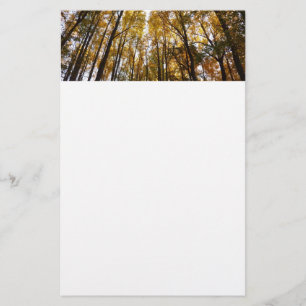 紅葉インモーニングメリーランド自然 便箋