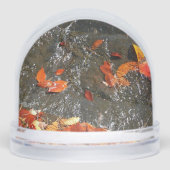 紅葉イン滝I秋撮影 (正面)