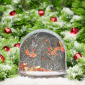 紅葉イン滝I秋撮影 (クリスマス)