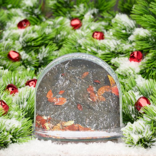 紅葉イン滝I秋撮影 (クリスマス)