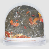 紅葉イン滝I秋撮影 (裏面)