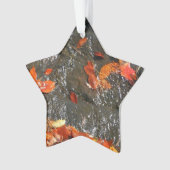 紅葉イン滝I秋撮影 オーナメント (正面)