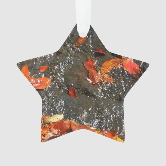 紅葉イン滝I秋撮影 オーナメント (正面)