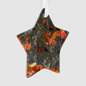 紅葉イン滝I秋撮影 オーナメント (正面)