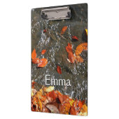 紅葉イン滝I秋撮影 クリップボード (左)