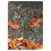 紅葉イン滝I秋撮影 クリップボード (裏面)