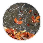 紅葉イン滝I秋撮影 セラミックノブ (正面)