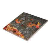 紅葉イン滝I秋撮影 タイル (側面)