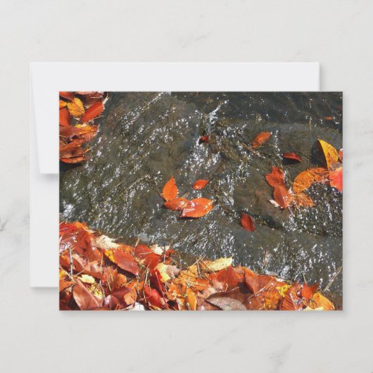 紅葉イン滝I秋撮影 ノートカード (正面)