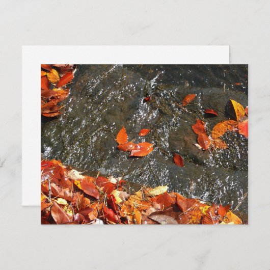 紅葉イン滝I秋撮影 ノートカード (正面/裏面)