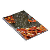 紅葉イン滝I秋撮影 ノートブック (右側)