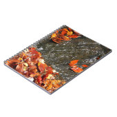 紅葉イン滝I秋撮影 ノートブック (左側)