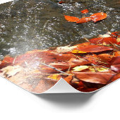 紅葉イン滝I秋撮影 フォトプリント (角)