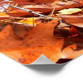 紅葉イン滝I秋撮影 ポスター (角)