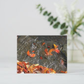 紅葉イン滝I秋撮影 ポストカード (スタンド正面)