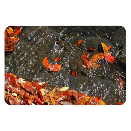 紅葉イン滝I秋撮影 マグネット (横)