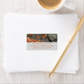 紅葉イン滝I秋撮影 ラベル (インサイチュ)