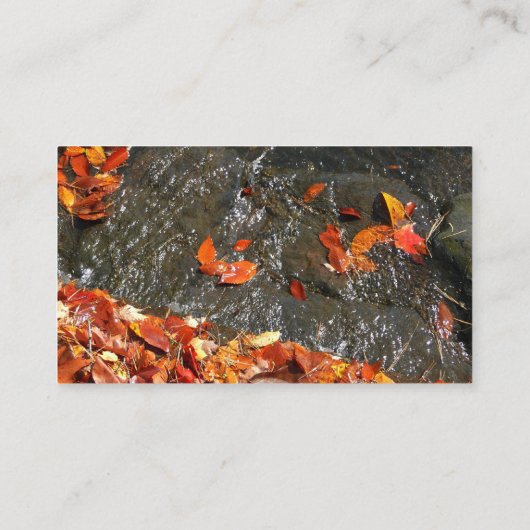 紅葉イン滝I秋撮影 名刺 (裏面)