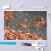 紅葉イン滝I秋撮影 薄葉紙 (クラフト)