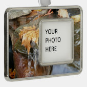 紅葉イン滝II秋撮影 シルバープレートフレームオーナメント (右)