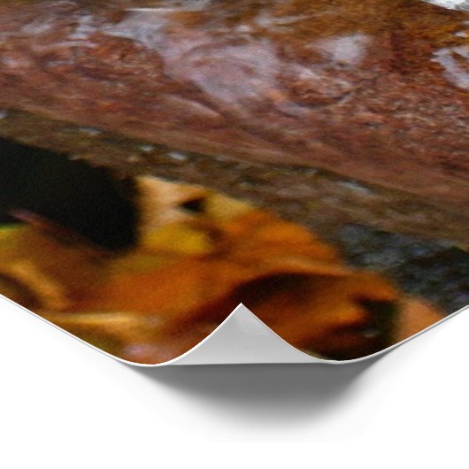 紅葉イン滝II秋撮影 ポスター (角)