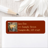 紅葉イン滝II秋撮影 ラベル (インサイチュ)