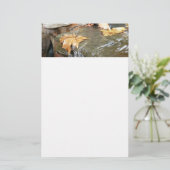 紅葉イン滝II秋撮影 便箋 (スタンド正面)