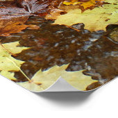 紅葉イン滝III秋自然 ポスター (角)