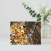 紅葉イン滝III秋自然 ポストカード (スタンド正面)