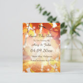 紅葉ウェディング日付ポストカードの保存 案内ポストカード (スタンド正面)