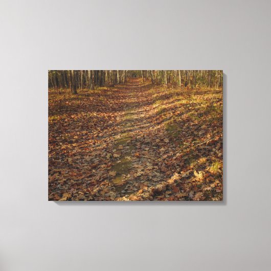 紅葉ウォールアート キャンバスプリント (正面)