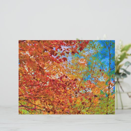 紅葉オカラフルレンジ秋をテーマにしたブルースカイ (スタンド正面)