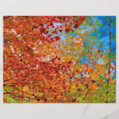 紅葉オカラフルレンジ秋をテーマにしたブルースカイ (正面)