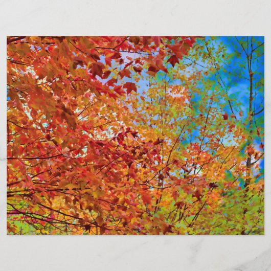 紅葉オカラフルレンジ秋をテーマにしたブルースカイ (正面)