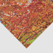 紅葉オカラフルレンジ秋をテーマにしたブルースカイ 薄葉紙 (詳細)