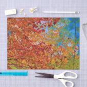 紅葉オカラフルレンジ秋をテーマにしたブルースカイ 薄葉紙 (クラフト)