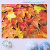 紅葉オレンジイエローレッドフライヤー紙 チラシ (シングル)