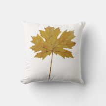 紅葉オレンジ褐色の水色。