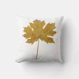 紅葉オレンジ褐色の水色。 アウトドアクッション