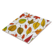 紅葉オン白 タイル (側面)