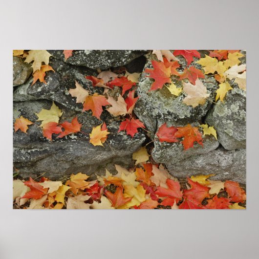 紅葉オン石壁、ミニッツマン ポスター (正面)