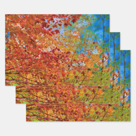 紅葉カラフルオレンジ秋主題青空 ラッピングペーパーシート